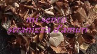 Franco Battiato- Stranizza D&#39;Amuri