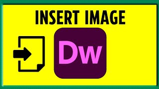 How To Insert Images in Adobe Dreamweaver (2024)