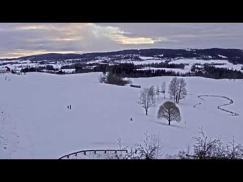 Live Camera Axis M1125