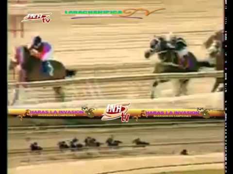 LA RINCONADA 8 CARRERA DOMINGO 15 DE FEBRERO DEL 2015