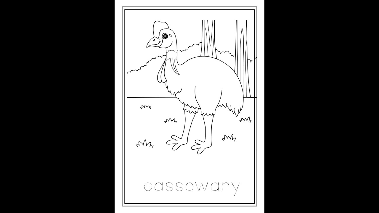 Australian Animals Colouring Worksheets