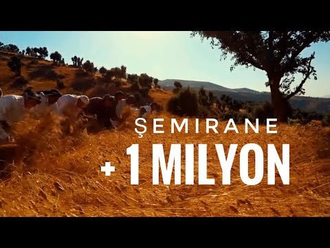 Şemirane u Palehî - Botan Doğal Senfoni Orkestrası | Prod. Rıdvan Yıldırım (Official Music Video)
