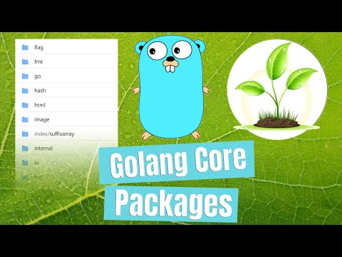 fmt Package - Golang Core Packages