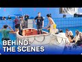 LIFE OF PI 2012 Behind The Scenes The Making Of Part 1