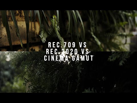 Rec.709 & 2020 VS Cinema Gamut