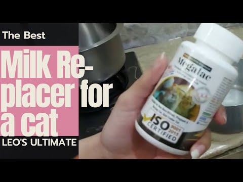 milk replacer for cats | cat diet ,cats ,persiancats ,kittens @leosultimate ,felines