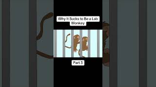 Why It Sucks to Be a Lab Monkey ｜ Part 3 #lab #monkey