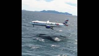 uncontrolled landing of the aircraft ep224