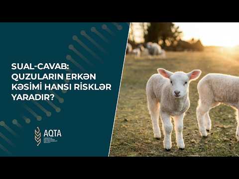 Sual-Cavab: Quzuların erkən kəsimi hansı risklər yaradır?