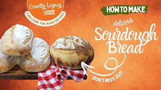 How to Make Sourdough Bread — Easy No-Knead Recipe with Starter & Freezer Tips