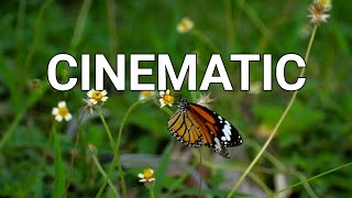 Download lagu Story wa pagi hari | Cinematic 30 detik | Sinematik pedesaan dan sawah | sinematik estetik alam mp3