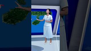 Storm Warning No. 4 for August 24, 2026 #qpvn #news #weatherforecast