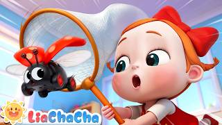 Download lagu Come on, Catch the Bugs! | Good Habits Song for Kids | LiaChaCha Nursery Rhymes mp3