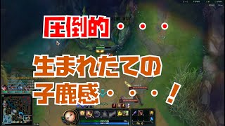 【LOL】生まれたての子鹿のような初対戦