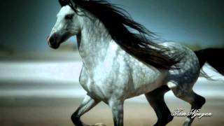 Unbreakable - Moonlight Sonata - Jade Valerie - TN.flv