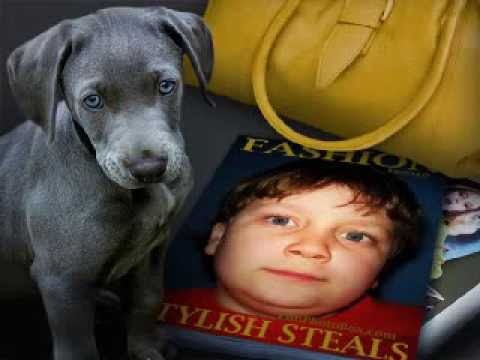 fam sav carasau 2010 bogdi alex