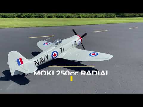 Sea Fury Moki 250cc radial