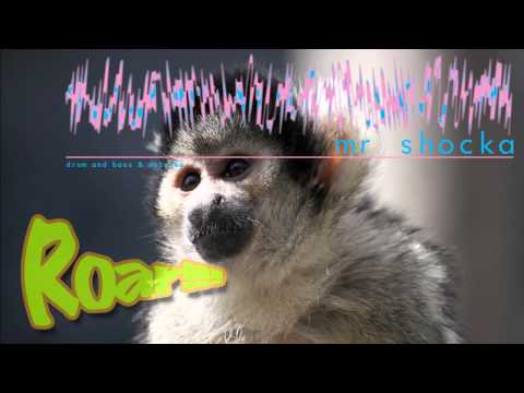 Mr Shocka - Roar (Drum and Bass)
