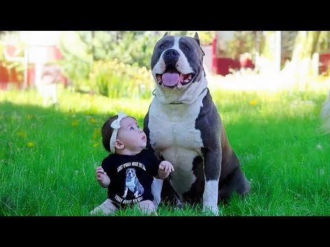 Rien ne remplit d'amour le cœur d'un bébé comme le fait de grandir avec un chien.
