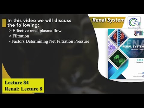 Effective renal plasma flow || Filtration || Factors Determining Net Filtration Pressure