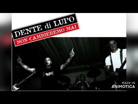 Dente di Lupo - 113 (Live in Milano Oi 2013)