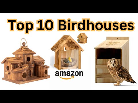 Top 10 Birdhouses on Amazon