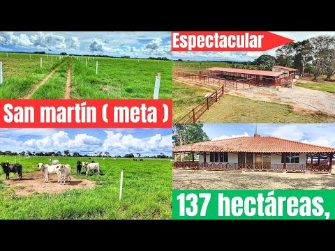 Finca en san martín meta 137 hectáreas lindas #fincallanosariari #realestate #sanmartinmeta 