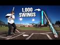 Can This Bat Survive 1 000 Hits
