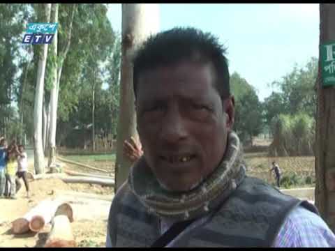পীরগঞ্জে সড়কের দুপাশে গাছ কাটার মহোৎসব চলছে | ETV News