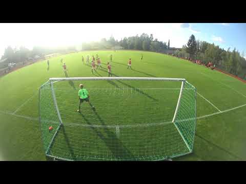 TPV 08/07 Yj - Ilves