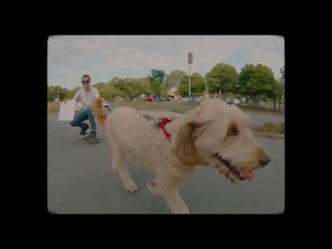 Video thumbnail for Stay
