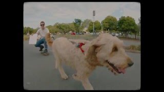 Cub Sport — Stay (Lyric Video)