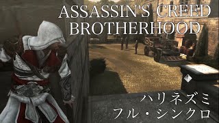 Assassin's Creed BROTHERHOOD ハリネズミ　フルシンクロ
