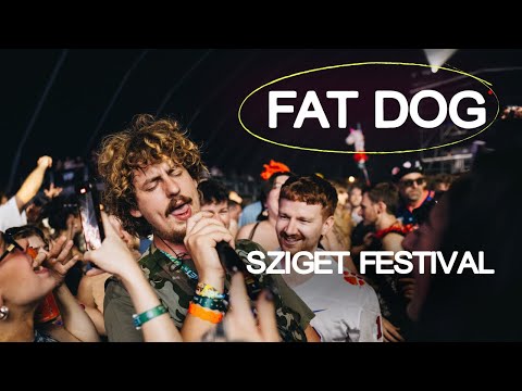 Sziget Festival and Fat Dog