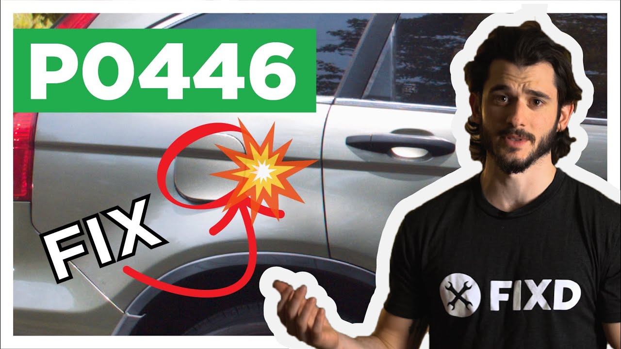 What is EVAP control system malfunction? More REF