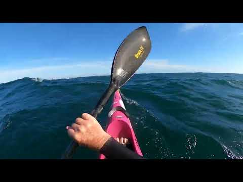 Reflecting on the week