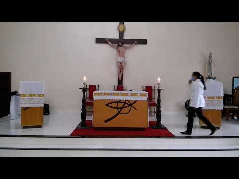 MISSA DO DOMINGO, FESTA DO BATISMO DO SENHOR - 09-01-2022 - 06:55H