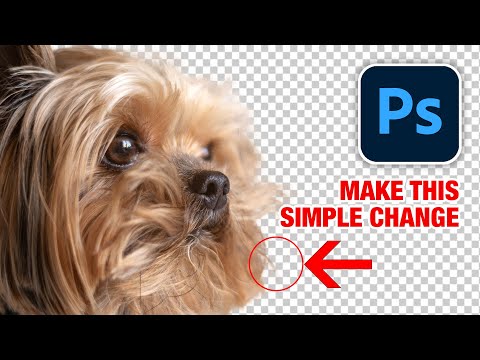 EASY selections secret to cut out hair in Photoshop
