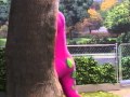 Barney S Closet And Find Camera