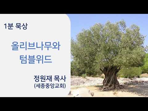 YouTube 영상 썸네일