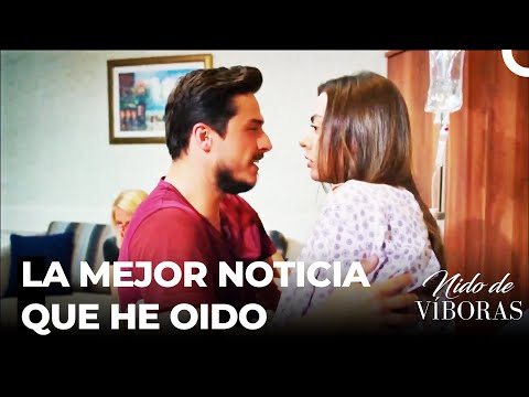 Buena noticia a Ejder y Nagme - Nido De Víboras