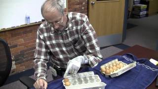 A Breakthrough in Upper-Limb Prosthetics