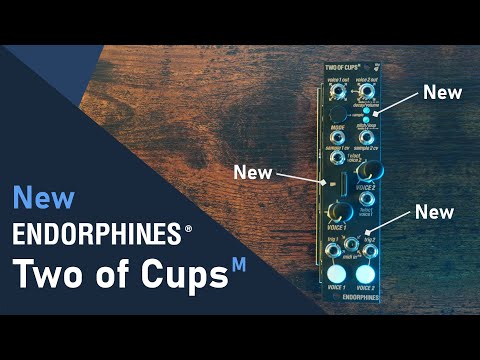 Endorphin.es Two Of Cups MIDI - Sampler Modular Synthesizer image 4