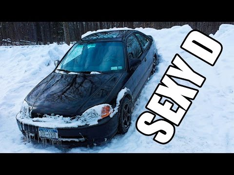 The Legacy of the SEXY D