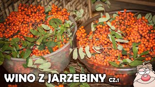 Wino z Jarzębiny - przepis - cz.1 + prosta NALEWKA czyli Jarzębiak JADALNA JARZĘBINA