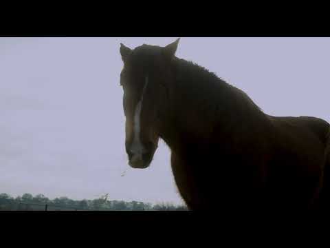 Cassels – The making of Tracked In Mud