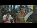 Mere Dil Ne Tujhe Chaha