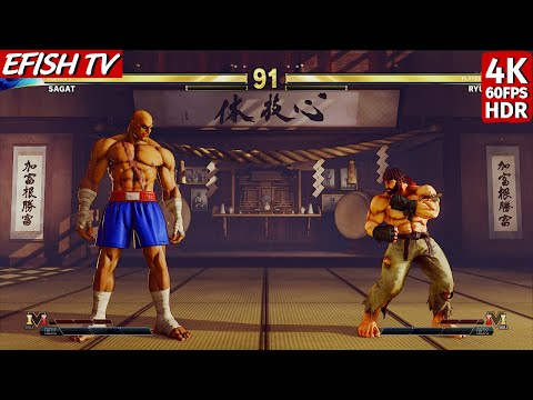 Sagat vs Ryu (Hardest AI) - Street Fighter V