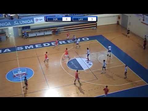 Trofej Smederevske Jeseni 2017 / Slovenjgradec 2011 - Lavovi