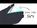 Why It Sucks To Be Born As A Humpback Whale
